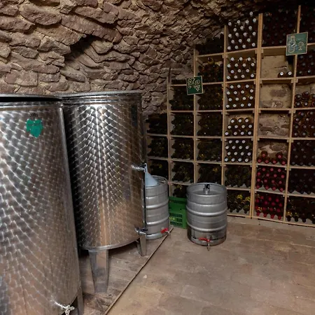 Tabody * Révfülöp