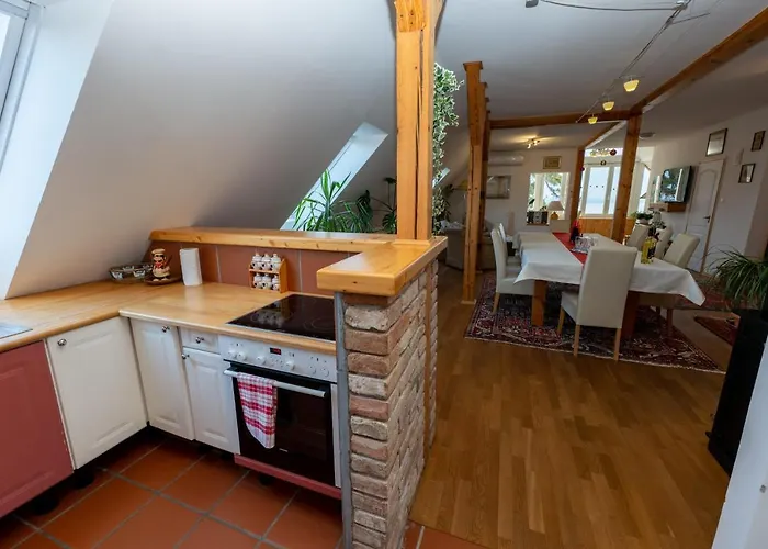 Tabody רבפולופ