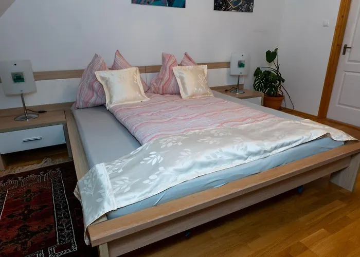 Tabody * רבפולופ