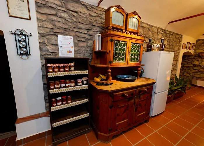 Tabody רבפולופ