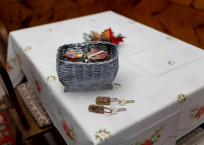 Tabody * רבפולופ